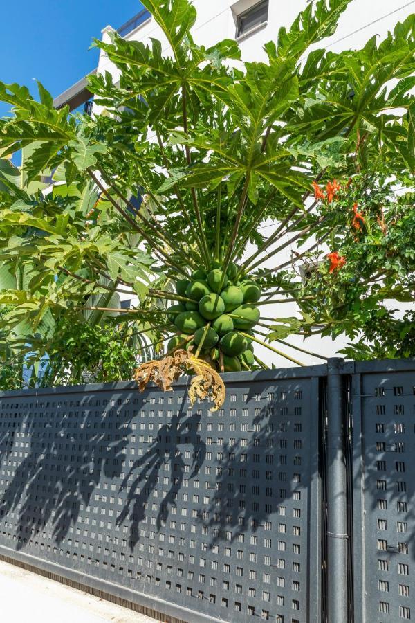 Medano4You The Strelitzia Terrace El Médano المظهر الخارجي الصورة
